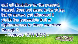 Hebrews 12:11 (Lsv) - And All Discipline For The Present, Indeed, D...