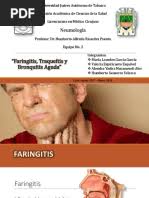 Actividades Semana 29 Enero Al 3 Febrero 2024