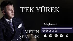 Sahan gökbakar (recep ivedik), zeynep çamci, metin sentürk. Metin Senturk Alchetron The Free Social Encyclopedia