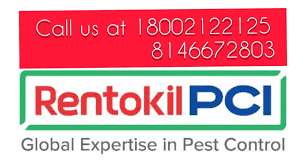 Rentokil Pci Mukerian Pest Control Services In Hoshiarpur Justdial