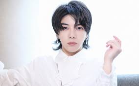 被網民爆出軌植髮整容華晨宇告到底拒接受道歉