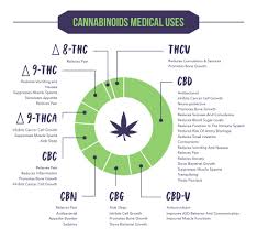 What Are Cannabinoids And Why Are They So Beneficial