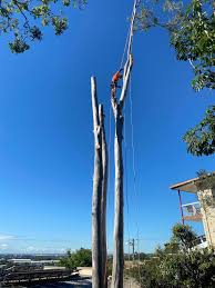 Maybe you would like to learn more about one of these? Mac S Tree Lopping Home Facebook