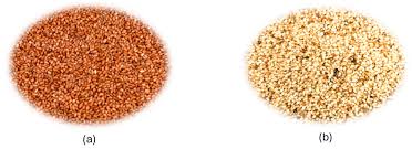 Image result for Eragrostis tef