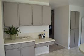 I used the same process for painting an ikea besta cabinet. Pin By Michelle Geib On Kitchen Update Laminate Kitchen Cabinets Painting Laminate Kitchen Cabinets Laminate Cabinets