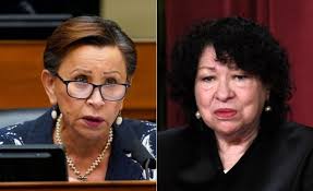 Image result for Justicia nyassana