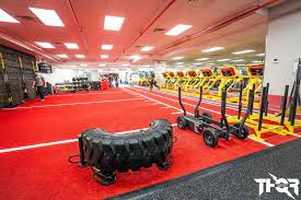 Artificial Turf For Fitness Fitness Center Design Retro Fitness Floor Workouts
