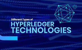 The company partnered with sichuan heijia to build up a blockchain based supply chain platform for pharmaceutical procurements. Different Types Of Hyperledger Technologies By Vinshu Gupta Medium