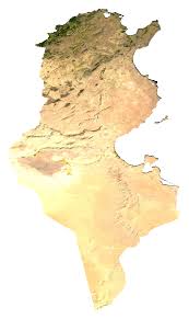 Paid surveys from mobrog usa, online and mobile surveys using your cell phone (iphone, blackberry, android). Category Tunisia Wikimedia Commons