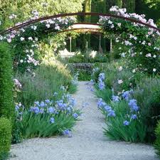 89 Likes 2 Comments Tim Rees Rees Tim On Instagram Treesassociatesgarden Provencalgarden Mediteraneangar Cottage Garden Gorgeous Gardens White Gardens