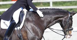 È un'estate che resterà per sempre nella storia dello sport italiano. Tokyo 2020 Dressage Italia Ai Giochi Olimpici Con Un Individuale Riders Advisor
