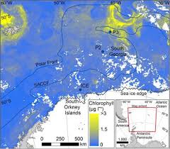 Part of the atlantic section of the antarctic ocean between south georgia and the south sandwich and south orkney islands; Scotia Sea List Of Frontiers Open Access Articles
