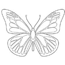 These black and white butterfly templates are great fun for preschoolers, also they help improve child's coloring skills. Top 50 Free Printable Butterfly Coloring Pages Online