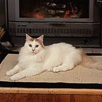 Kucing juga boleh dilihat di satu sudut perkuburan faith, di mana terdapat populasi kucing hidup disayangi di situ. Ras Kucing Turkish Van Whiskas