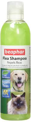 Beaphar Kedi Ve Kopek Pire Sampuani 250 Ml Amazon Com Tr