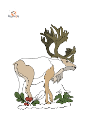 Reindeer coloring page created date. Coloring Page With A Deer Print A4 For Free
