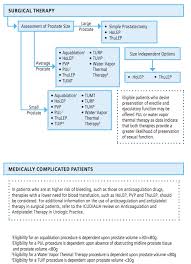 Aua Guidelines 2020 Benign Prostatic Hyperplasia