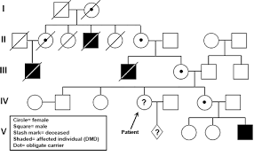 Inherited Disorders Duchenne Muscular Dystrophy Practice