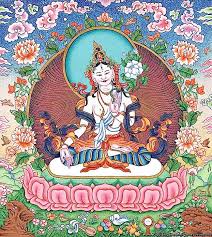 Image result for Vahadenia