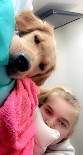 Tuna is waiting for the new year. ✨❄️✨