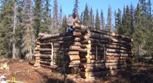 Maybe you would like to learn more about one of these? Tiny Pioneer Log Cabin In Alaska Built In 15 Days