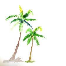 Pineapple Artist On Instagram Seashells Watercolour Art Watercolour Seashells Tree Tattoo Color Watercolor Trees Palm Tree Drawing