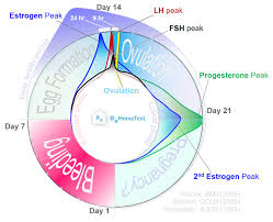 Hormone Testing - Role of FSH and LH Hormone Levels | At-Home Health Tests