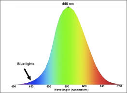 lumens and lights for fluorescence nightsea