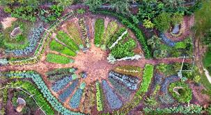 Permaculture is not about growing plants in tidy rows with the sole expectation of harvesting. Creation Of A Permaculture Vegetable Garden Chambord Castle