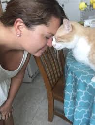 This is my Jerry. He passed away last night, nine months after being  diagnosed with congestive heart failure. He was the sweetest boy and my  best friend. I'm so heartbroken 😔