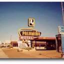 Beware of Bugs - Review of Palomino Motel, Tucumcari, NM - Tripadvisor
