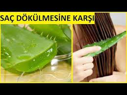Sac Dokulmesine Karsi Aloe Vera Maskesi Sac Bakimi Guzellik Bakim Youtube Aloe Sac Sac Bakimi