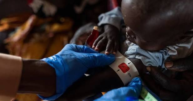 مفوضية اللاجئين ومنظمة الصحة العالمية تحذران من تدهور الأوضاع الصحية في السودان | مفوضية اللاجئين