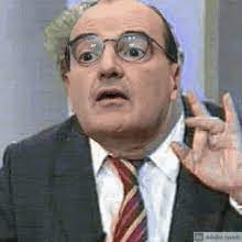 Forverse (plays forward then backward, good for slow motion and for making looping less choppy). Tim Capello Gifs Tenor