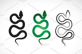 vector of snake animals reptile snake design snake logo vector