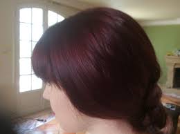 Beautiful Colour Created Using Goldwell Topchic 3vv And 6r Hair By Paula Hair And Holistics France Hair Long Hair Styles Hair Styles