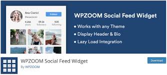 Wordpress instagram feed plugin allows to display instagram photo galleries. Top 10 Wordpress Instagram Plugins 2021 Colorlib