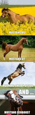 Silly Fords Funny Car Memes Car Jokes Ford Jokes