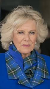 Royalcity | Camilla Humiliated At Royal Charity Dinner As William Blocks Her Son At Gate #katemiddleton #catherine #princewilliam #princessofwales... | Instagram