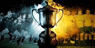 Filipo daugunu of the wallabies scores a try during. All You Want To Know About Bledisloe Cup Sportycious