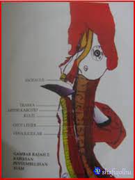 Ibadah korban ini dituntut bagi mengingati kisah nabi ibrahim yang ingin melaksanakan perintah allah swt korban sunat, iaitu menyembelih binatang ternakan yang tertentu dengan niat taqarrub sembelihan dilakukan dengan niat menyembelih. Kaedah Sembelihan Menurut Islam Shafiqolbu