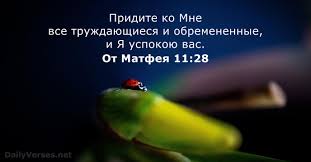 До конца года остаётся 217 дней. Ge7s5am8xiurvm