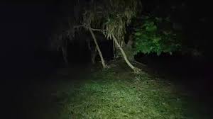 Pegawai perkhidmatan awam gred utama/ khas c ke atas; Tujuh Petala Merungkai Misteri Kehilangan Budak Tahfiz Dan Hantu Galap Facebook