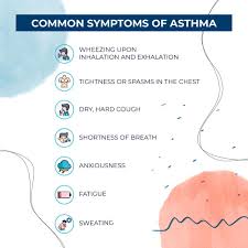 Pin On Immune Health