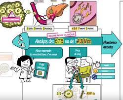 Au fil des ans, de plus en plus de biomarqueurs ont été découverts pour dépister ou surveiller un grand nombre de cancers. Mon Reseau Cancer Du Sein Une Prise De Sang Pour Traquer Le Cancer Video
