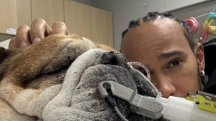 F1 2025: Lewis Hamilton withdraws from Ferrari tyre test to be with sick dog  Roscoe, update