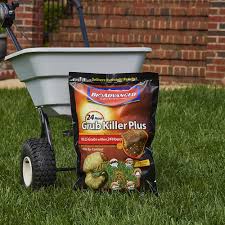 Bioadvanced Fungus Control For Lawns Instructions Bioadvanced Granules Lawn Insect Killer 10 Lbs At Menards