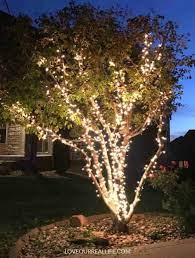 Wrap Lights On An Outdoor Tree In 6 Easy Steps Love Our Real Life
