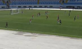 | дикая зоря, angelica silvestris, кудрявый дягиль; Zorya Prograla Na Zborah Vosmij Komandi Serbiyi á‰ Ua Futbol