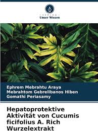 Image result for Cucumis ficifolius